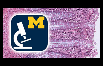 Michigan Histology and Virtual Microscopy Learning Resources